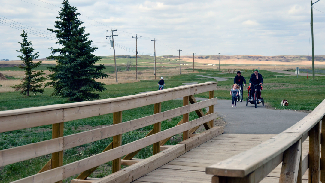 Walking Path – Memory Lane